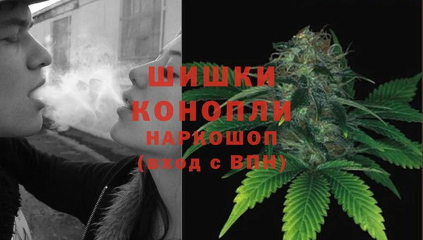амф Вяземский