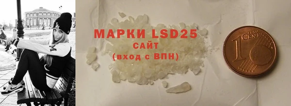 амф Вяземский