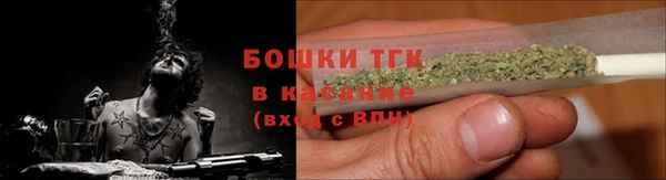 амф Вяземский
