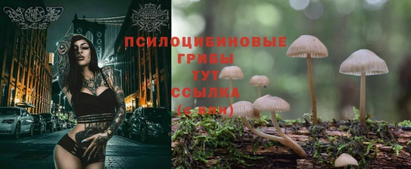 амф Вяземский