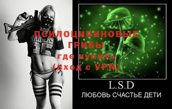 амф Вяземский