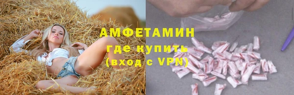 амф Вяземский
