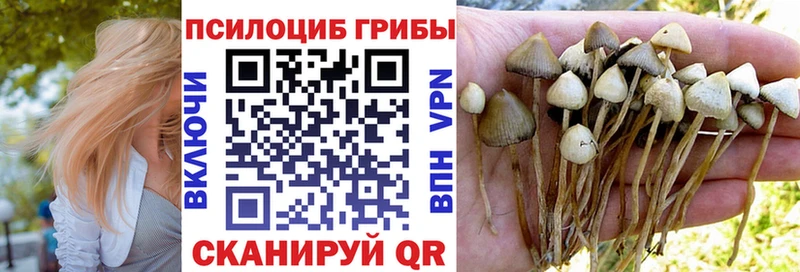 Псилоцибиновые грибы мицелий  как найти наркотики  Ессентукская 